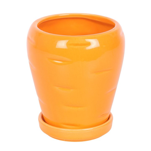 Carrot Shaped Plant Pot with Parsley Seed Balls Plant Pots
