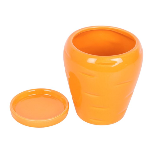 Carrot Shaped Plant Pot with Parsley Seed Balls Plant Pots