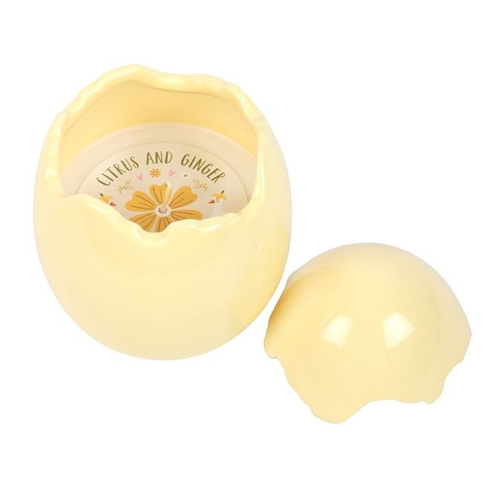Egg Shaped Candles - 2 Fragrances - Truly Yours