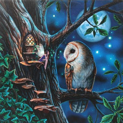 Fairy Tales Light Up Canvas Plaque by Lisa Parker - Truly Yours