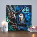 Fairy Tales Light Up Canvas Plaque by Lisa Parker - Truly Yours