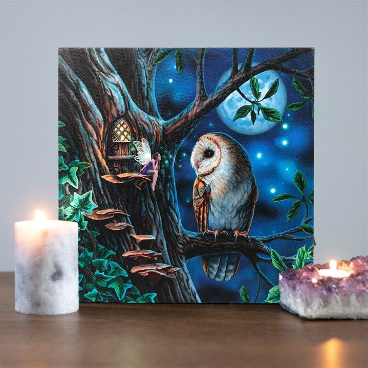 Fairy Tales Light Up Canvas Plaque by Lisa Parker - Truly Yours