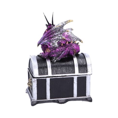Reptilian Riches Dragon Sitting on a Treasure Chest Storage Box
