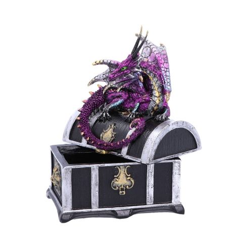 Reptilian Riches Dragon Sitting on a Treasure Chest Storage Box