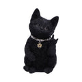 Metallicat Black Cat Throwing Rock Hand Sign - Truly Yours